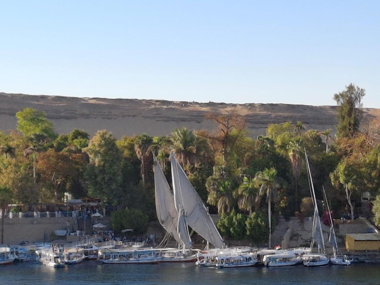 El Prince Guesthouse Asvan Dış mekan fotoğraf